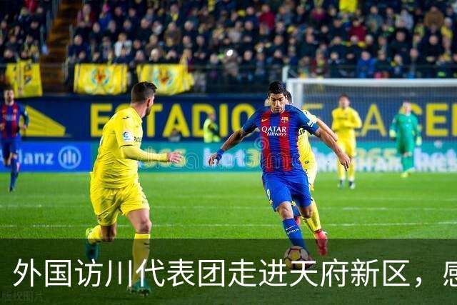 外国访川代表团走进天府新区，感受人工智能与机器人科创活力