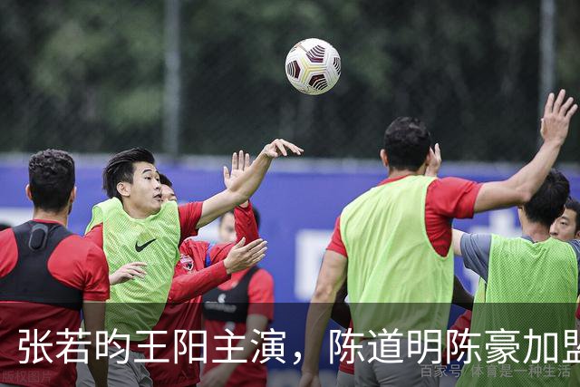 张若昀王阳主演，陈道明陈豪加盟，国产谍战剧终于迎来高潮