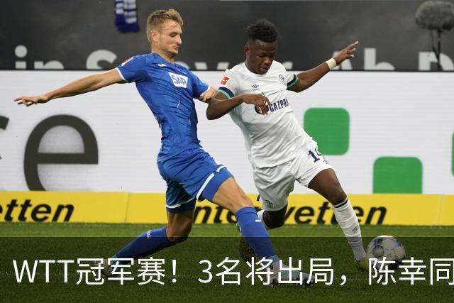 WTT冠军赛!3名将出局,陈幸同,国乒大获全胜,周启豪超级逆转